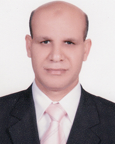 أ.د/ محمود عراقي المغربي