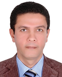 Prof. Dr. Nasser Khamis Barakat El-Gizawy